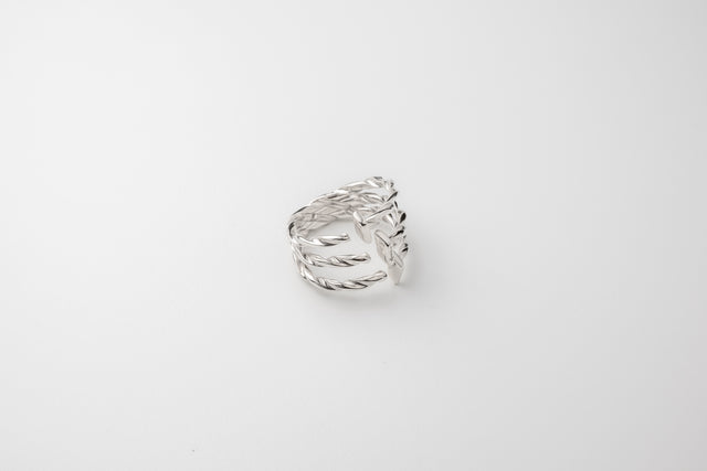 Strugadesign Ring Tripple Drills.