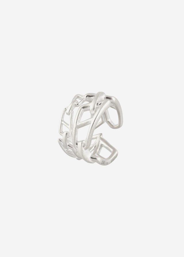 Ring signature links double line