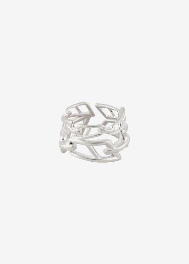 Ring signature links double line