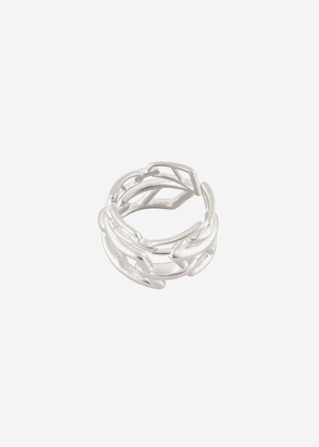 Ring signature links double line